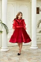 Red Velvet Chiffon Sleeve Dress