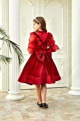 Red Velvet Chiffon Sleeve Dress