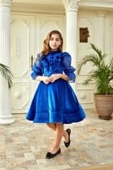 Blue Velvet Chiffon Sleeve Dress