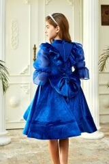 Blue Velvet Chiffon Sleeve Dress