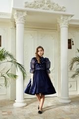 Dark Blue Velvet Chiffon Sleeve Dress