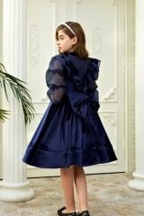 Dark Blue Velvet Chiffon Sleeve Dress