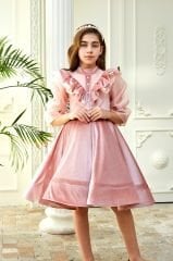 Pink Velvet Chiffon Sleeve Dress