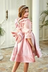 Pink Velvet Chiffon Sleeve Dress
