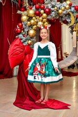 Amazing Christmas Collection Dress Green Color