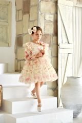 Polka Dot Mesh Dress Pink Color