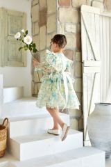 Polka Dot Mesh Dress Blue Color