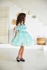 Summer Chiffon Dress with Short Sleeves Light Green Color