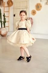Elegant Fluffy Dress Gold Color