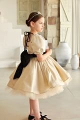 Elegant Fluffy Dress Gold Color