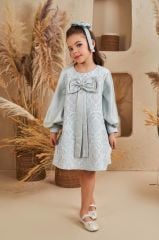 Elegant Straight Dress For Girls Light Green  Color
