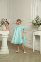 Exclusive Chiffon Party Dress Light Green Color