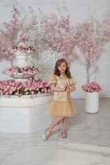 Gold Color Lace Dress with Hair Accessory